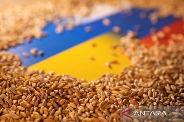 rusia hentikan ekspor biji-bijian