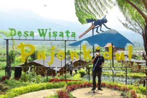 desa wisata