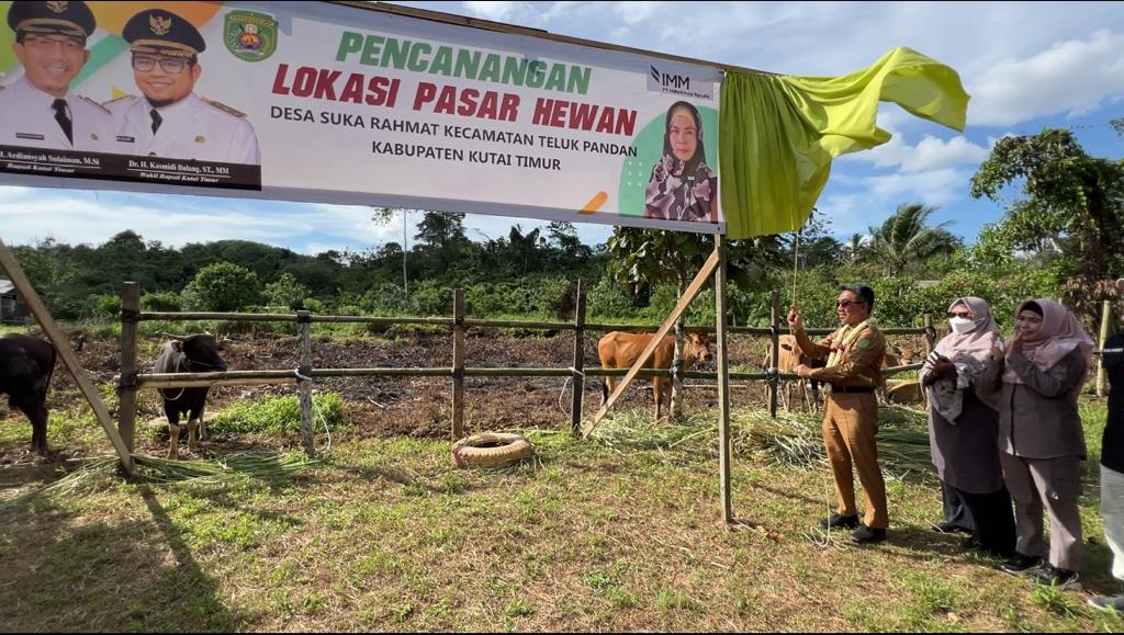 Inovasi Teluk Pandan Bupati Kutim Panen Pedet Dan Resmikan Pasar Hewan