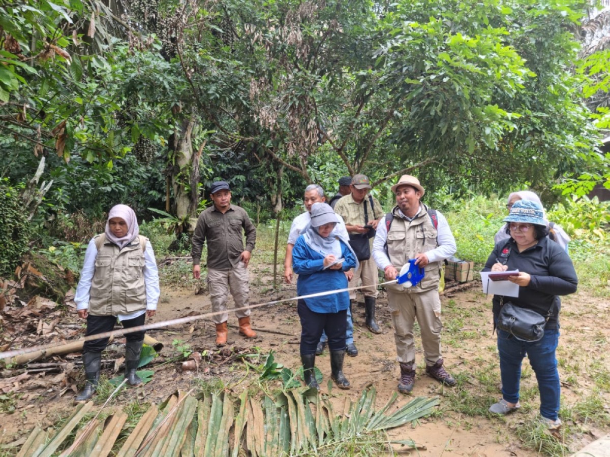 Provinsi Kaltim Miliki Kebun Sumber Benih Aren Genjah | Nusantara+