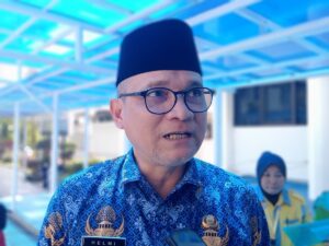 Helmi