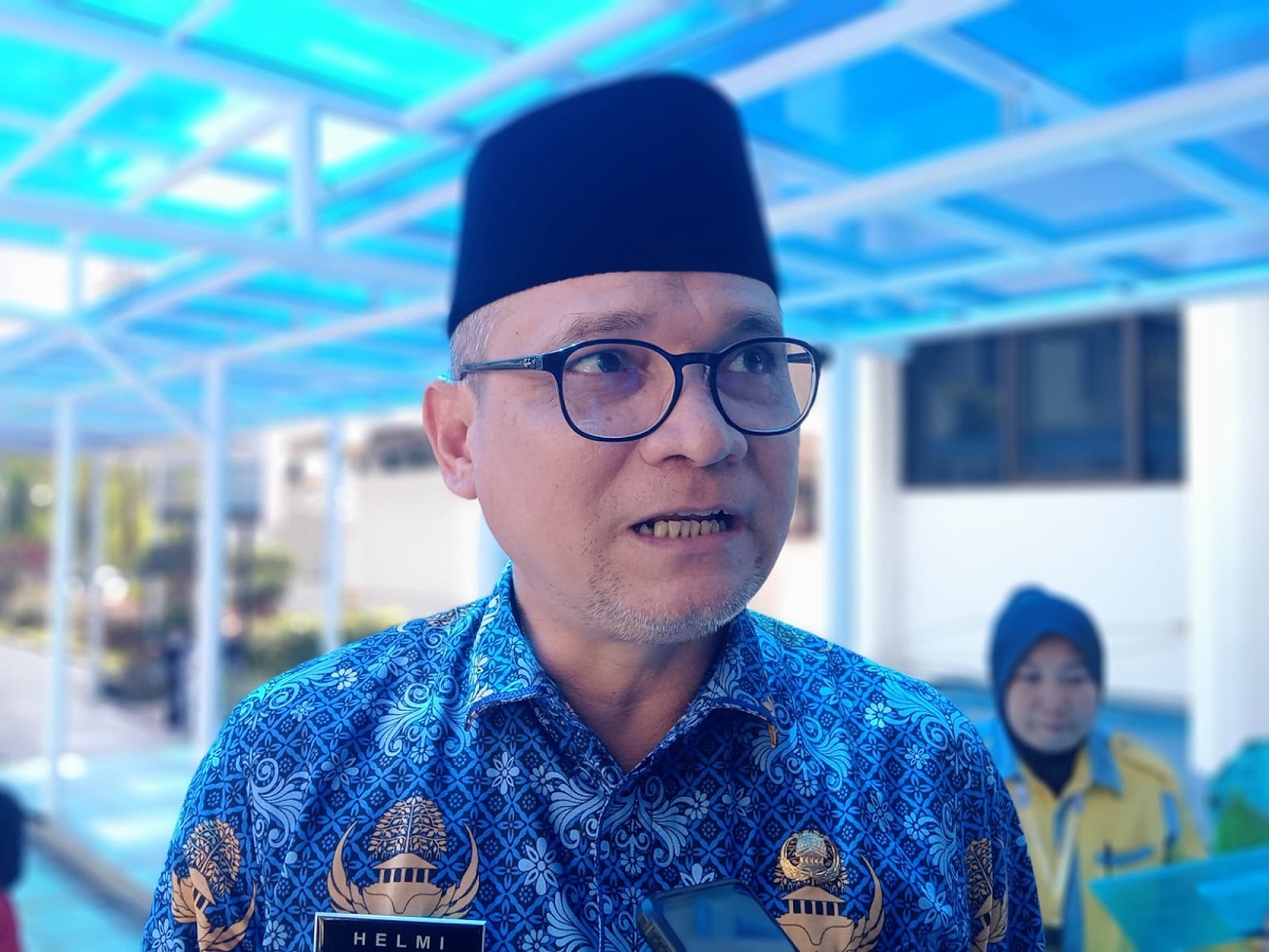 Helmi